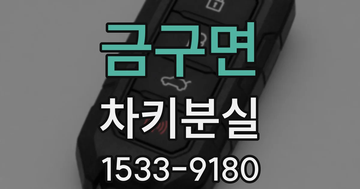 금구면 차키분실