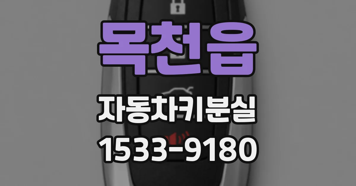 목천읍 자동차키분실