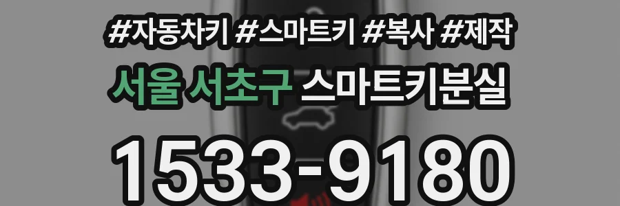 서울 서초구 스마트키분실