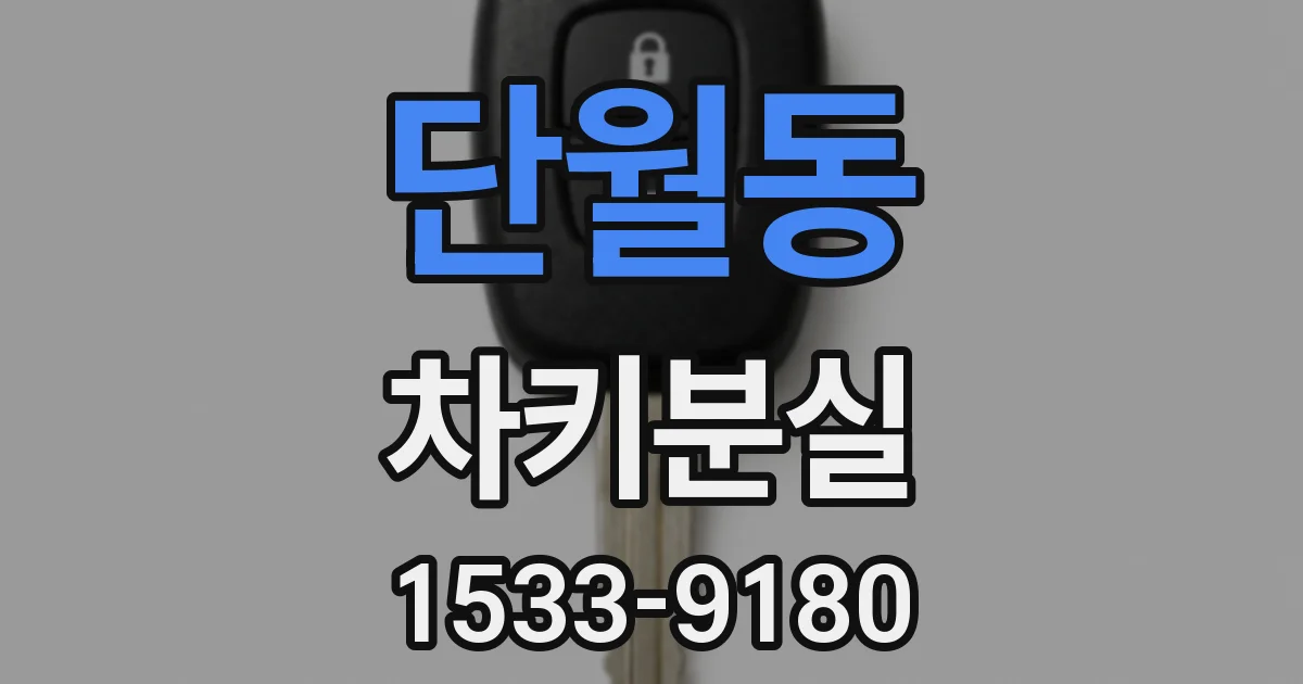 단월동 차키분실