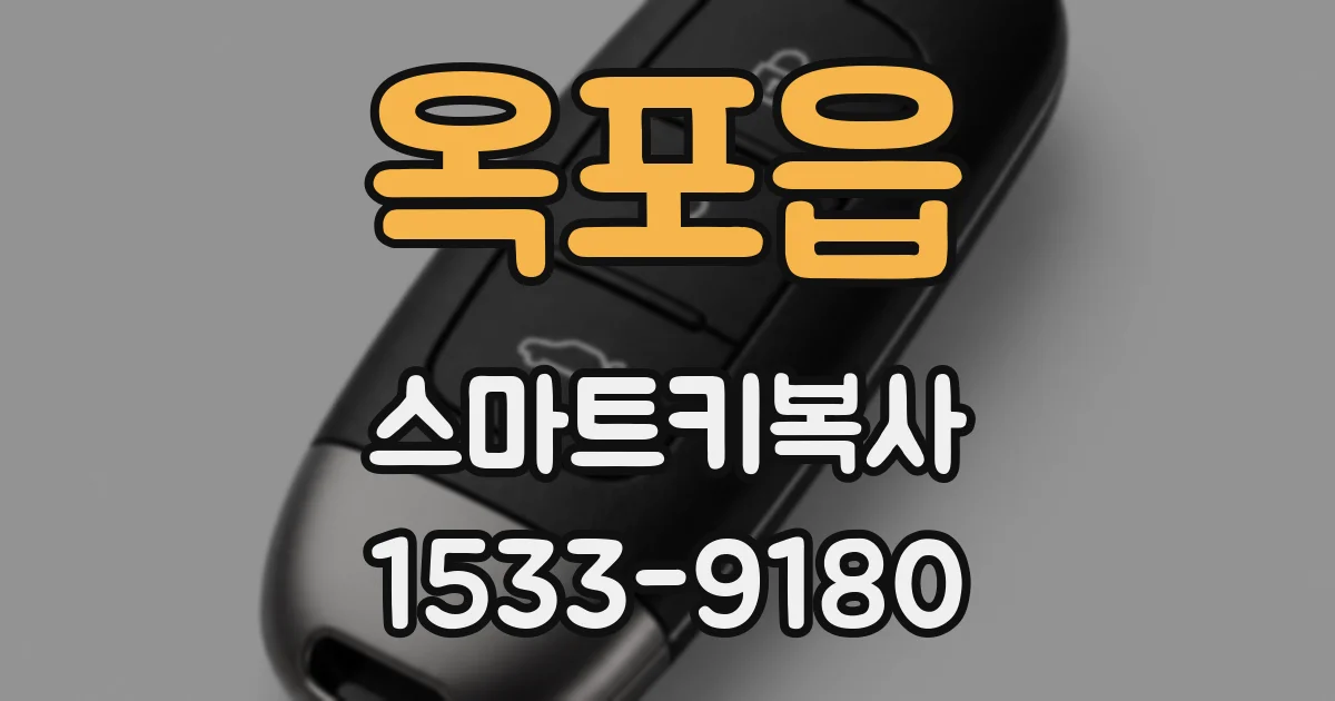 옥포읍 스마트키복사