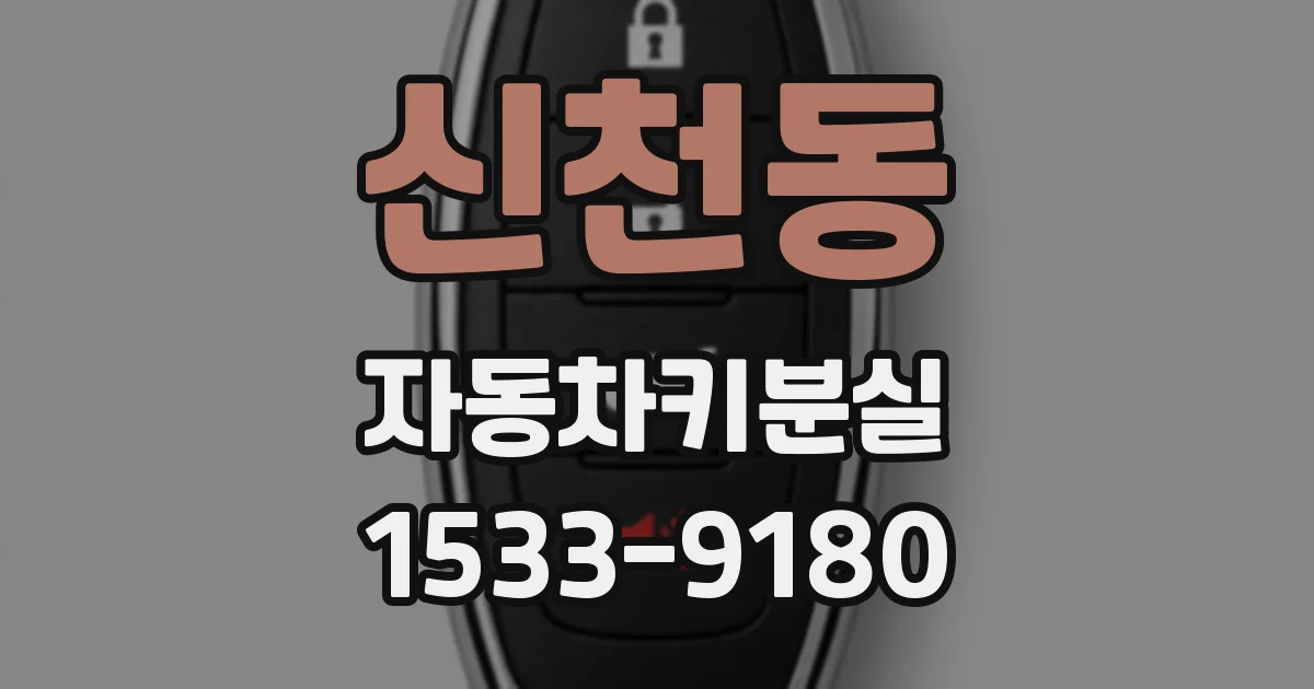 신천동 자동차키분실
