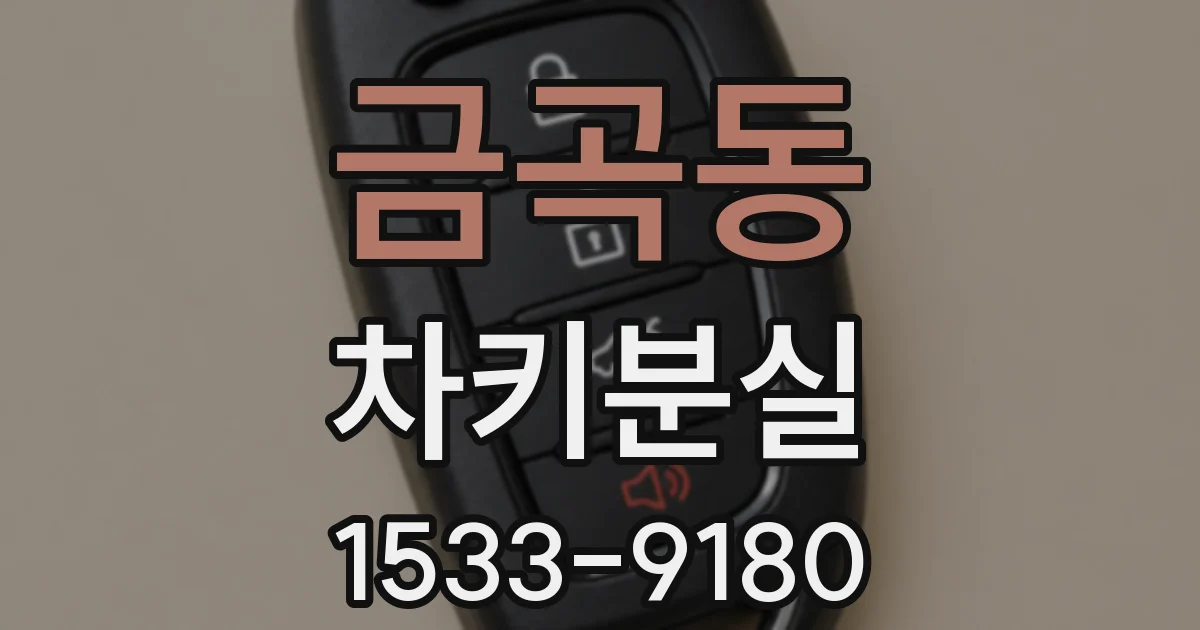금곡동 차키분실