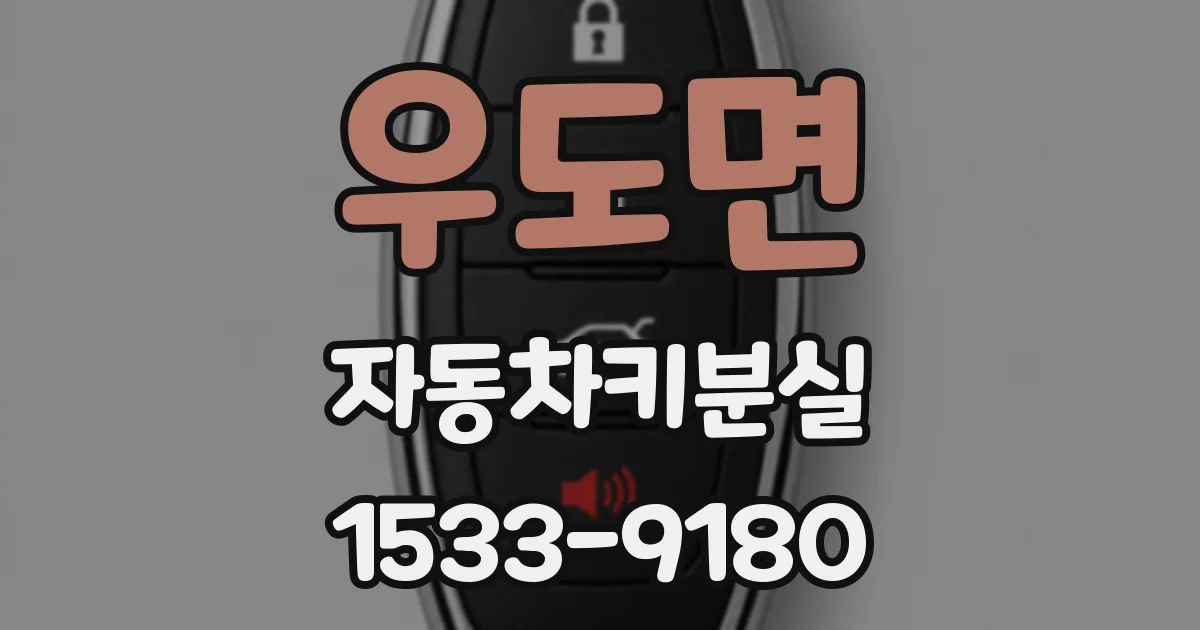 우도면 자동차키분실
