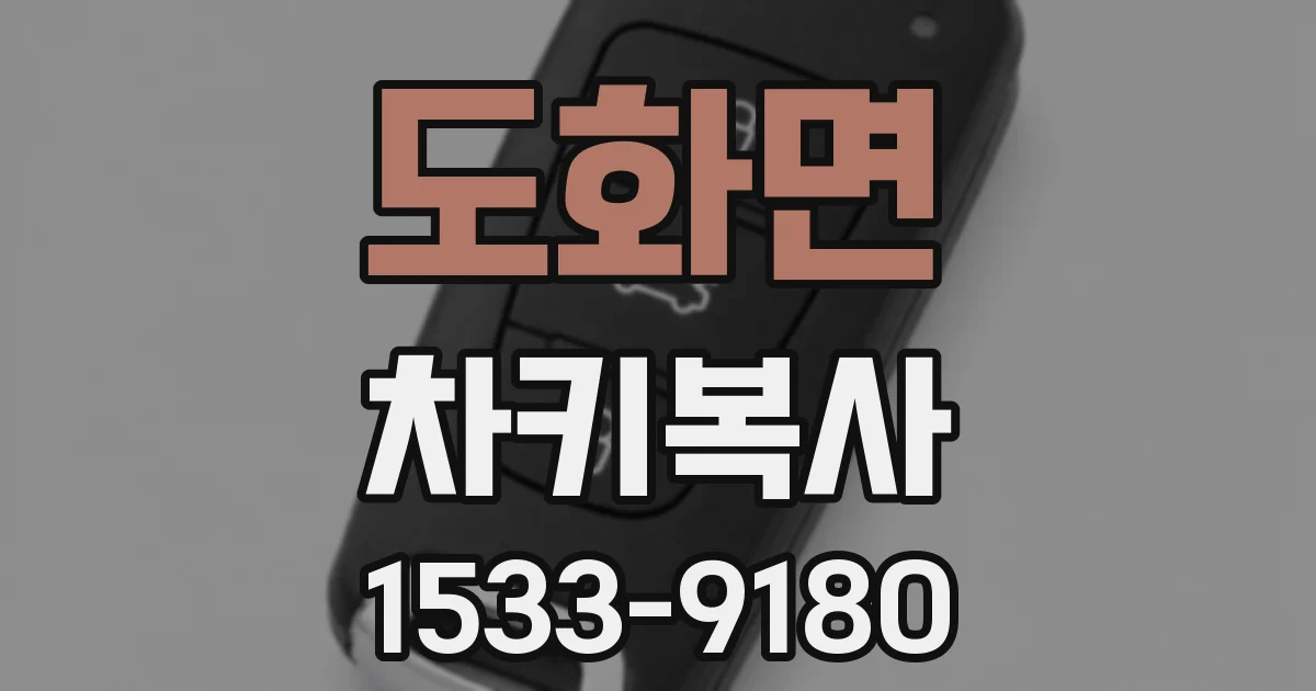 도화면 차키복사
