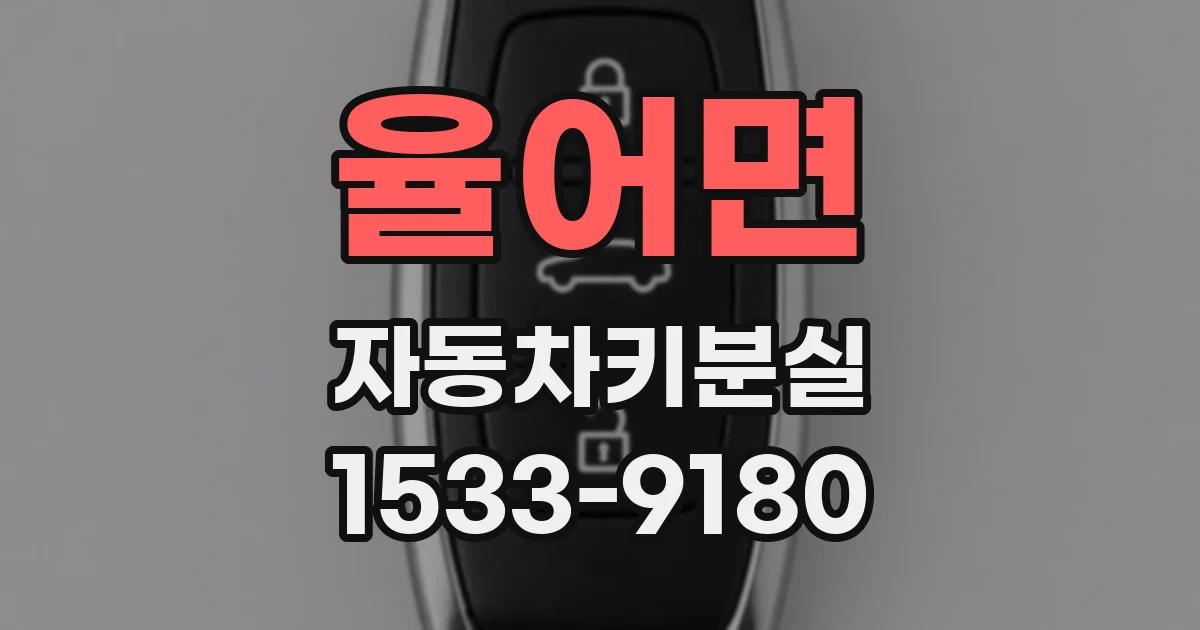 율어면 자동차키분실