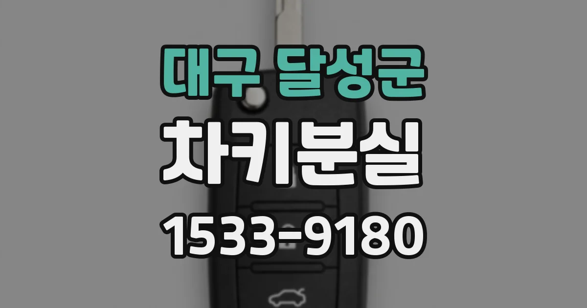 대구 달성군 차키분실