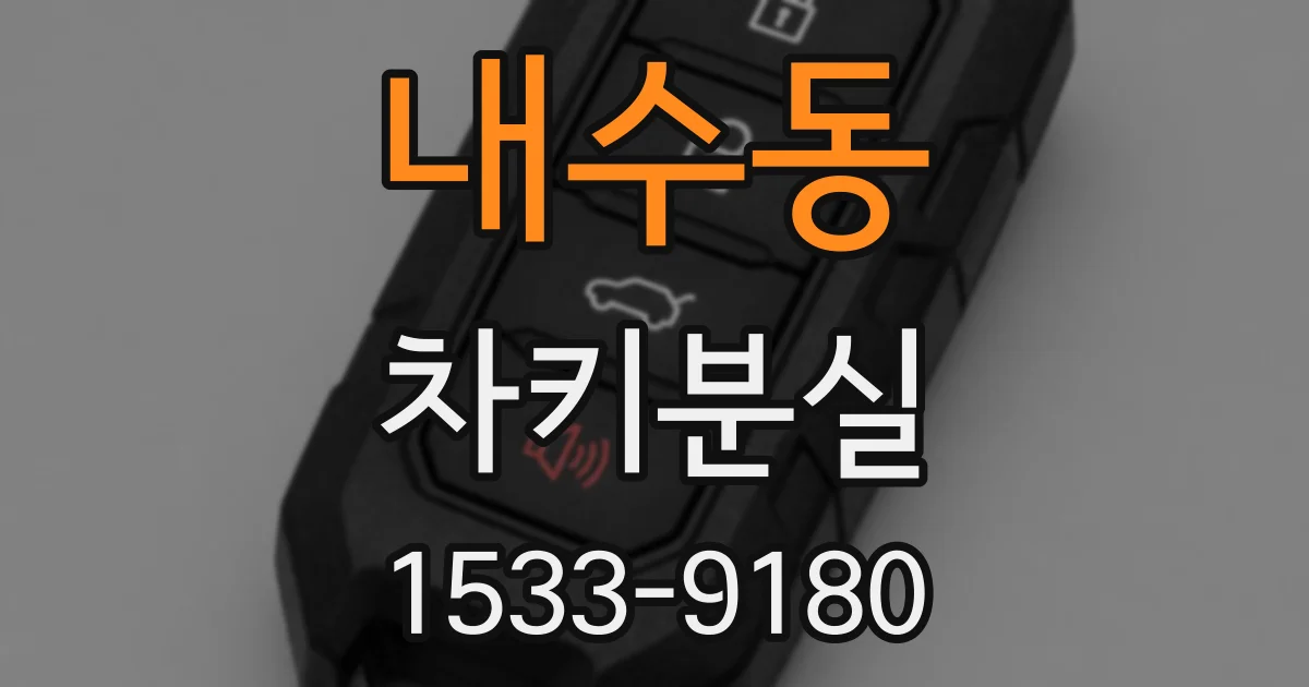 내수동 차키분실