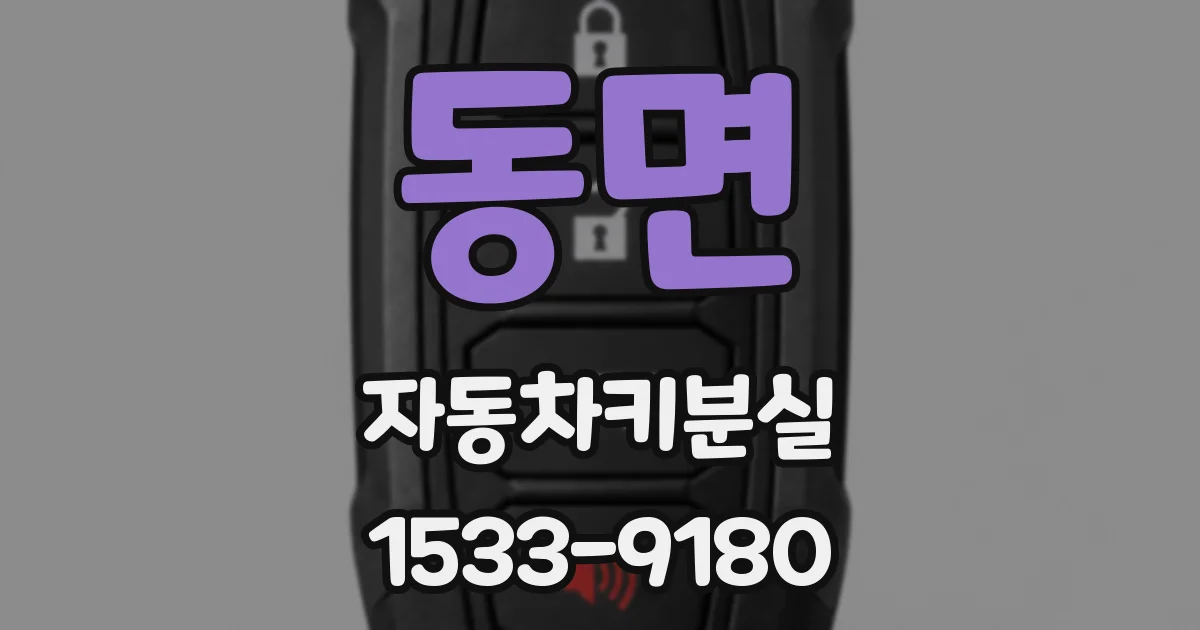 동면 자동차키분실