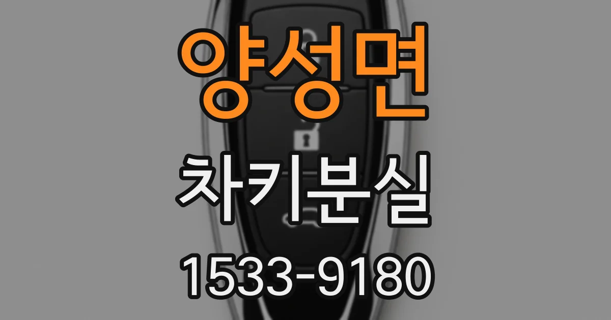 양성면 차키분실