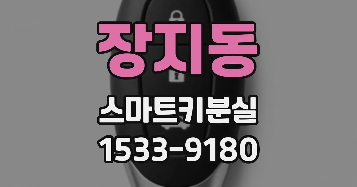 장지동 스마트키분실