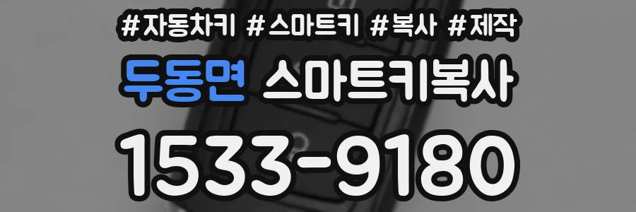 두동면 스마트키복사