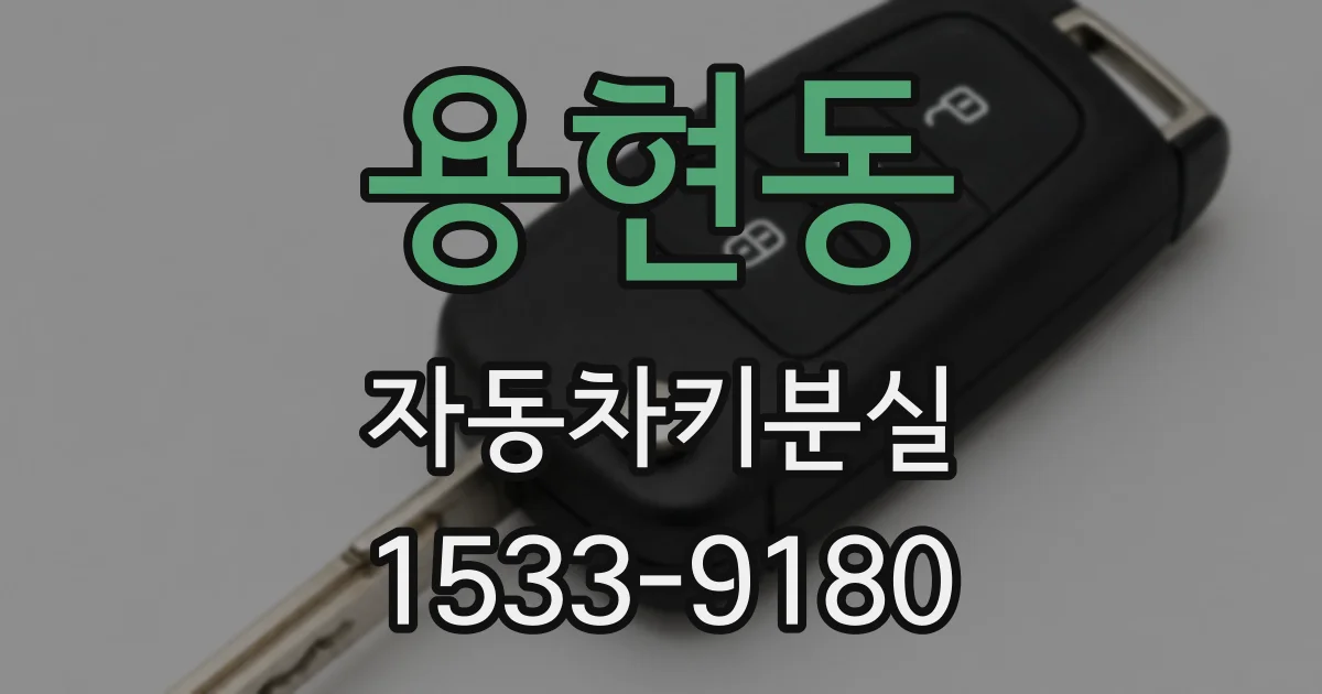용현동 자동차키분실