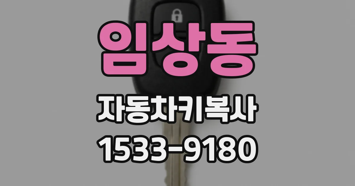 임상동 자동차키복사