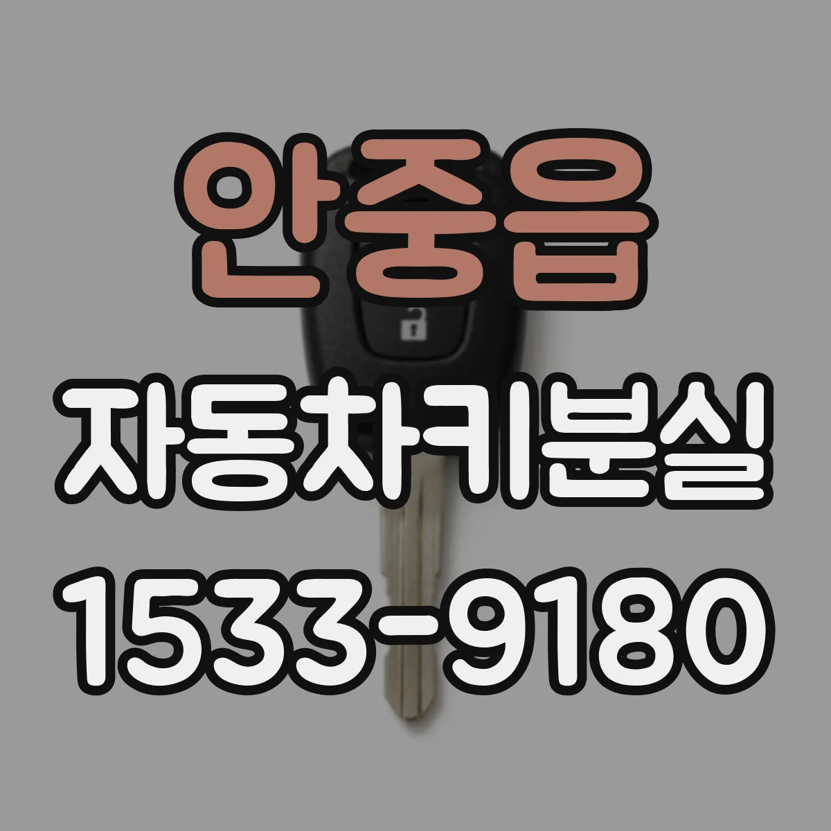 안중읍 자동차키분실