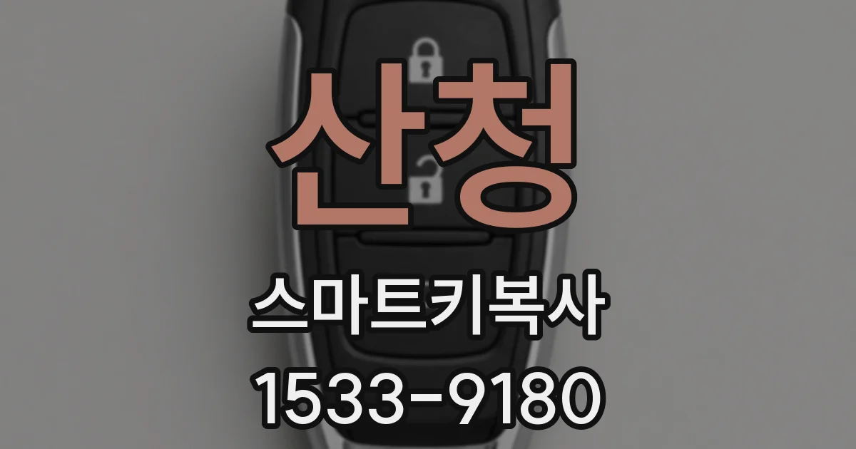 산청 스마트키복사