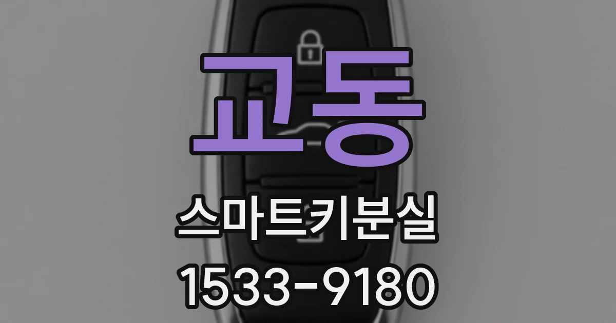 교동 스마트키분실