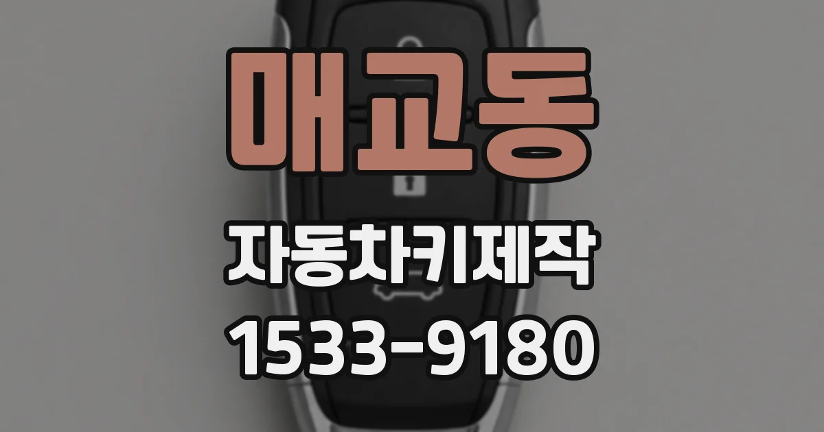 매교동 자동차키제작