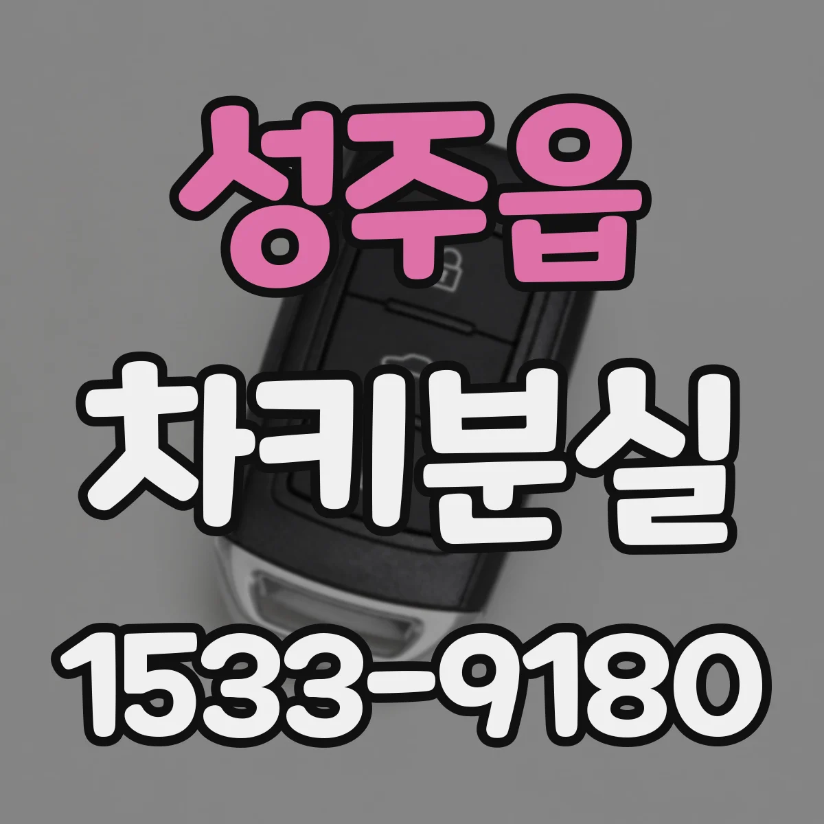 성주읍 차키분실