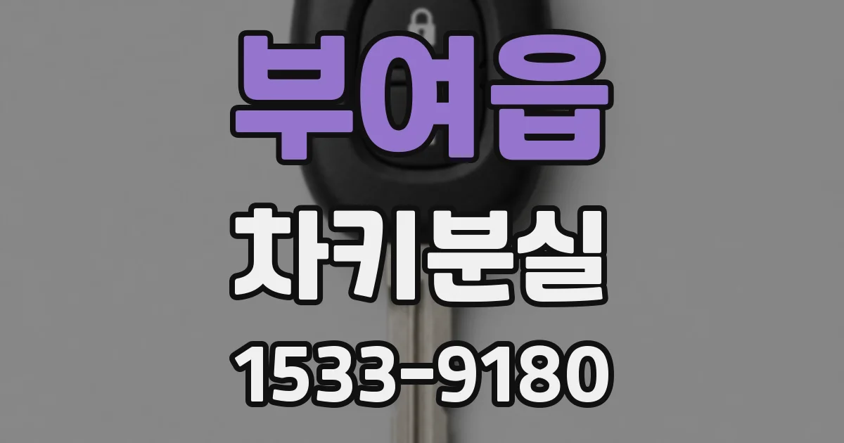 부여읍 차키분실