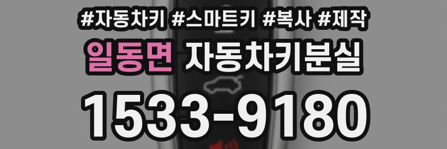일동면 자동차키분실