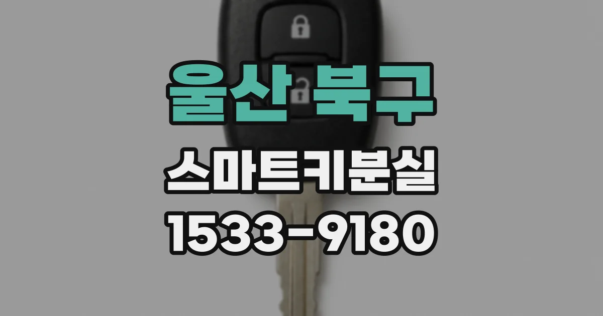 울산 북구 스마트키분실