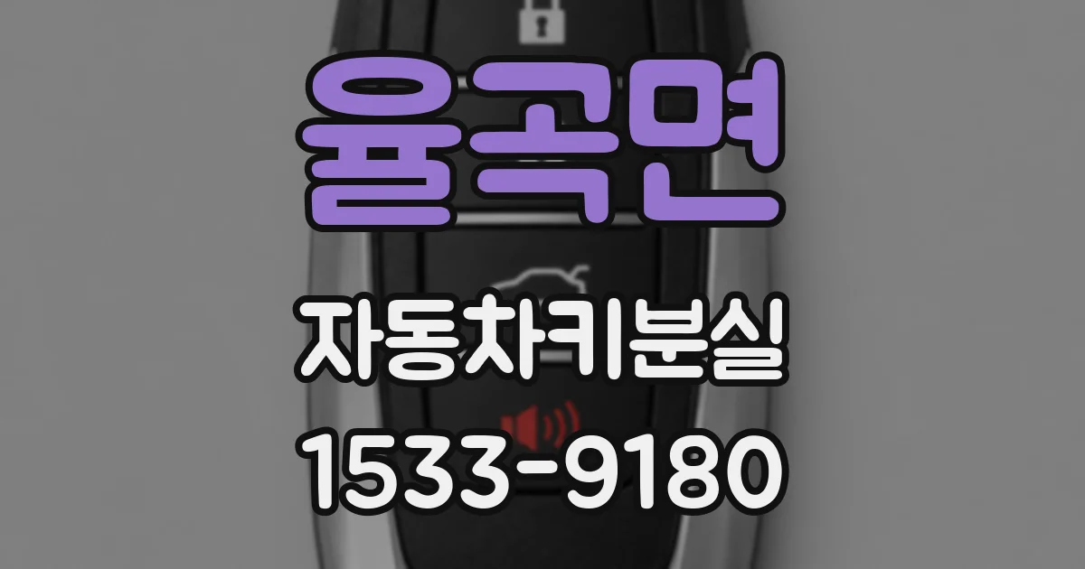 율곡면 자동차키분실