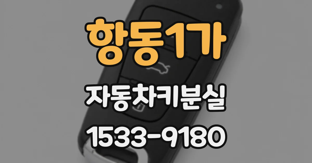 항동1가 자동차키분실