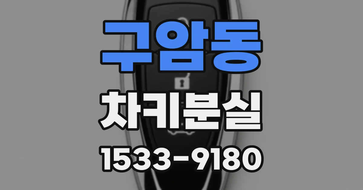 구암동 차키분실