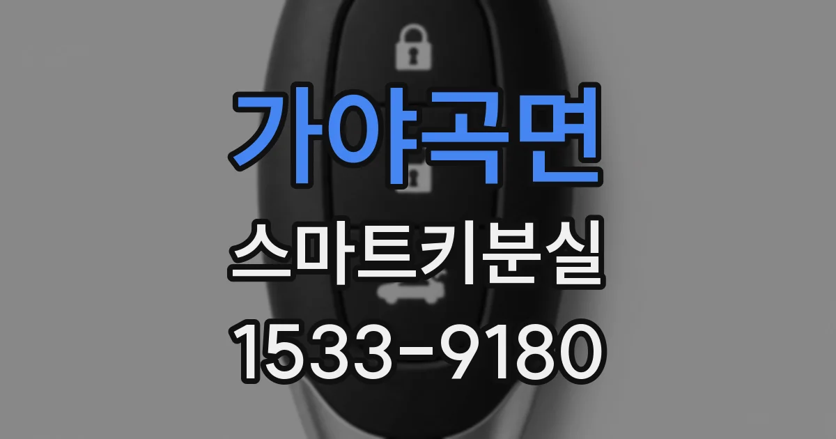 가야곡면 스마트키분실