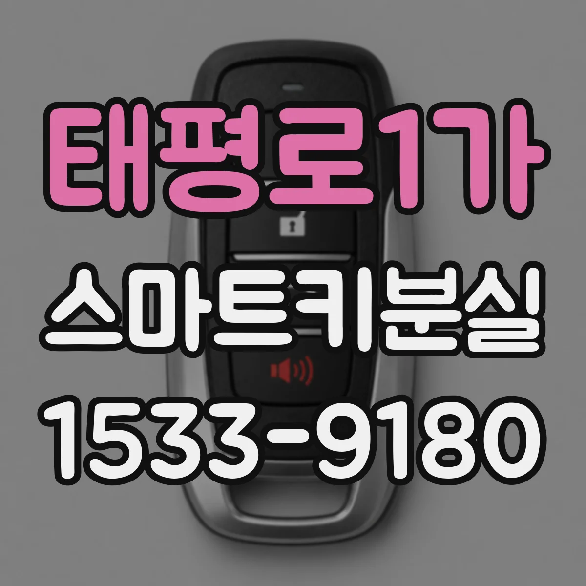 태평로1가 스마트키분실