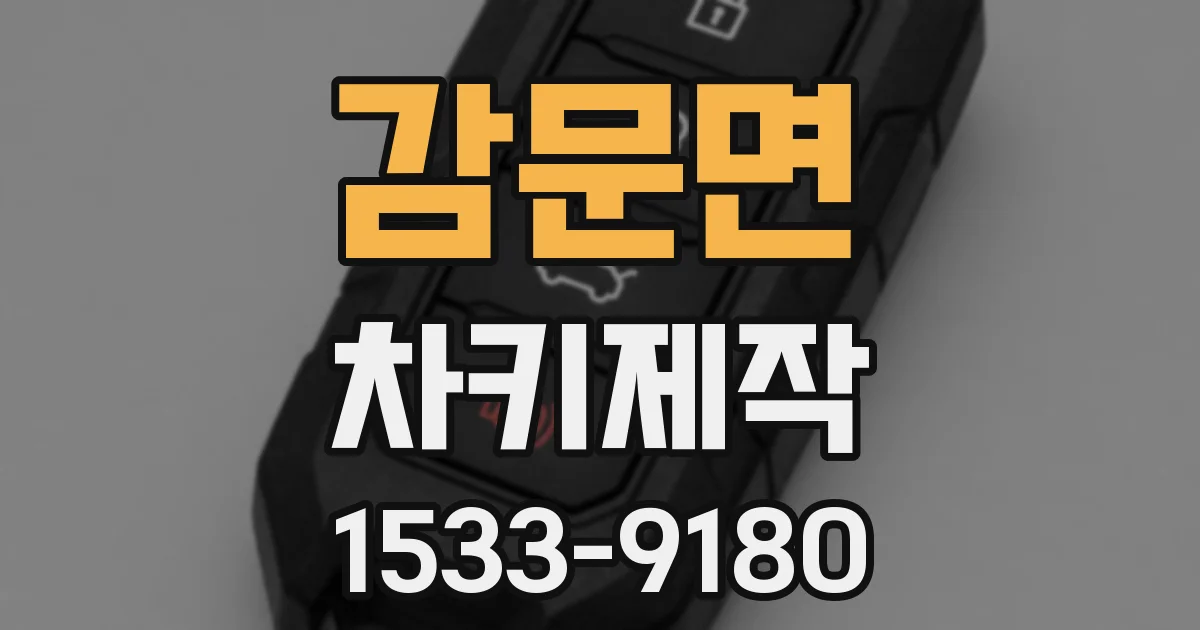 감문면 차키제작