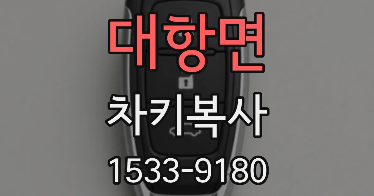 대항면 차키복사