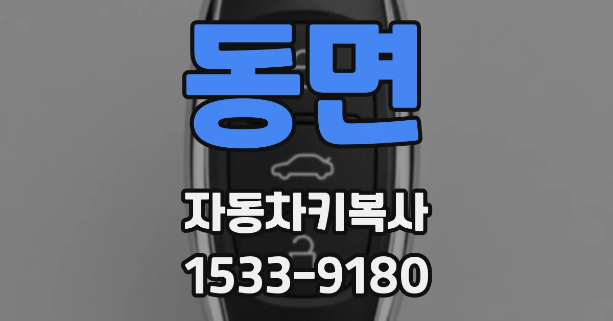 동면 자동차키복사