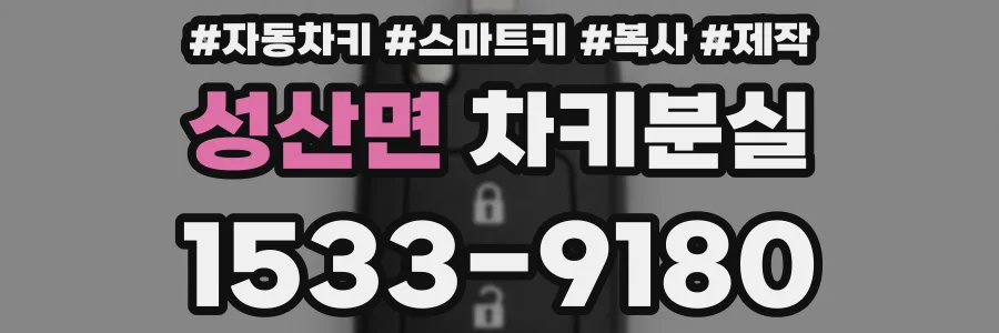 성산면 차키분실