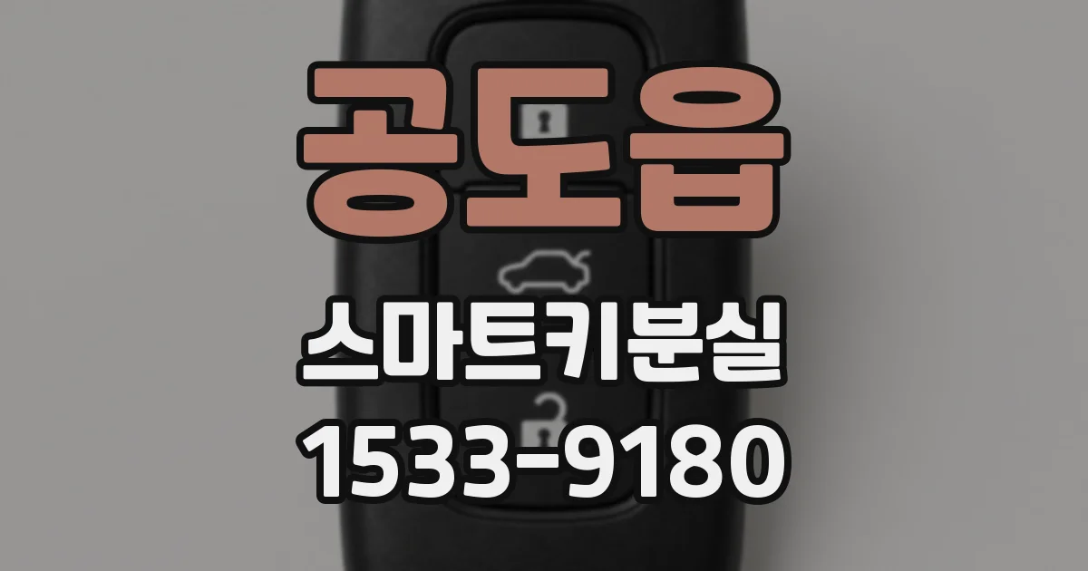 공도읍 스마트키분실