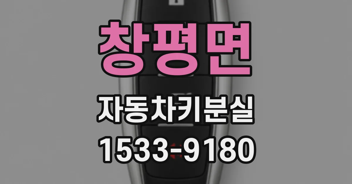 창평면 자동차키분실