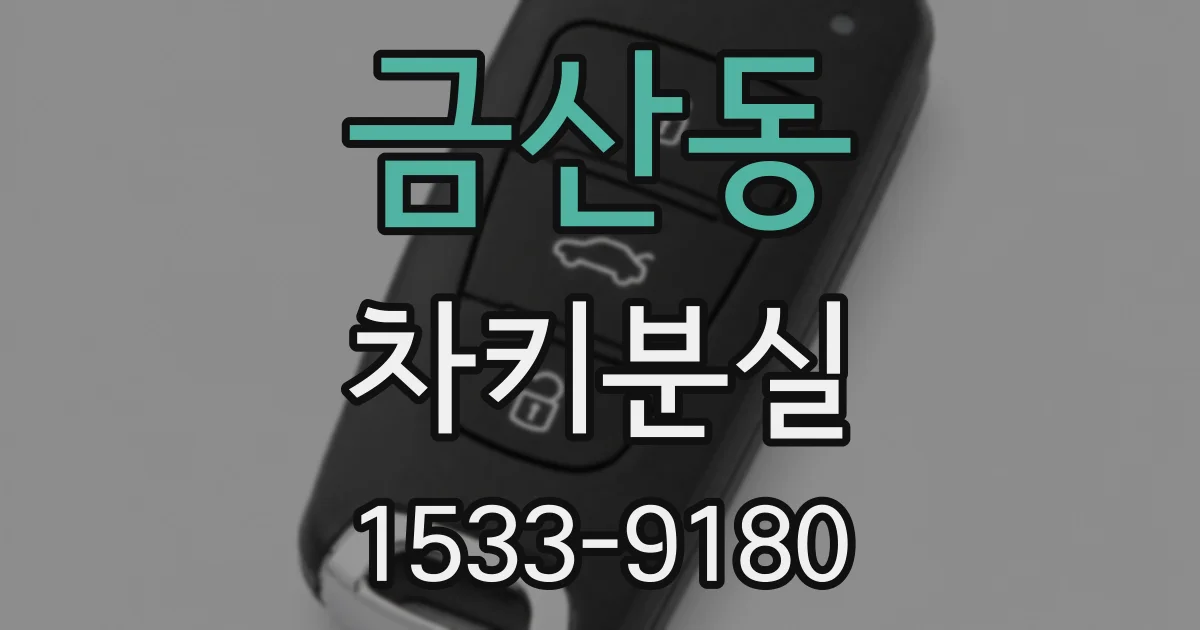 금산동 차키분실