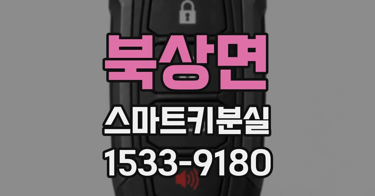 북상면 스마트키분실