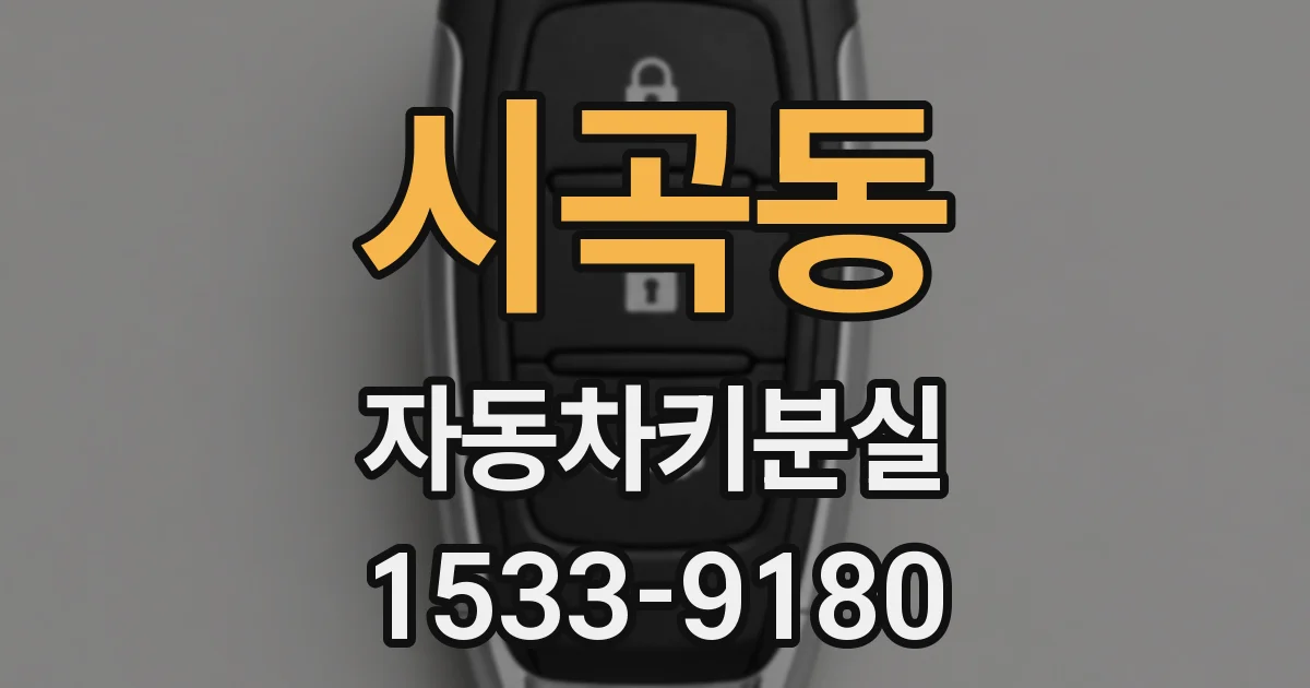 시곡동 자동차키분실