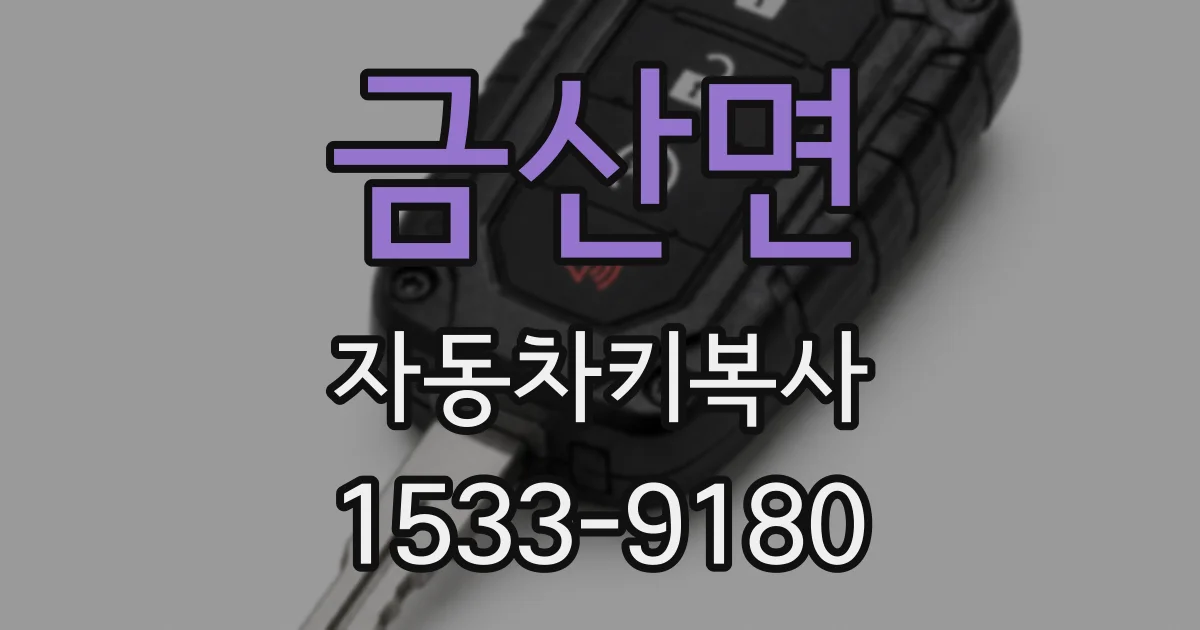 금산면 자동차키복사
