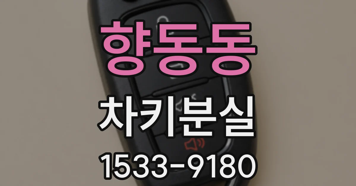 향동동 차키분실