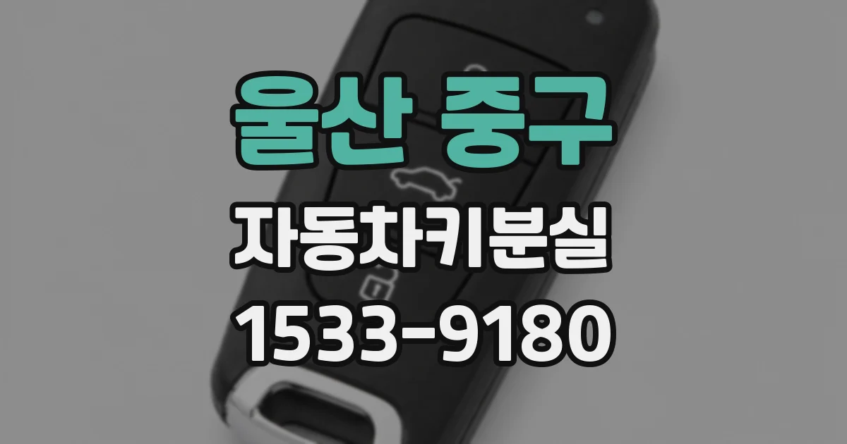 울산 중구 자동차키분실