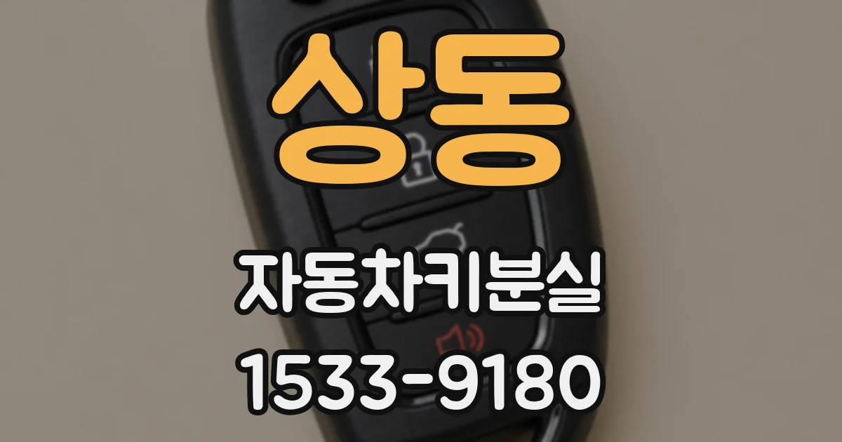 상동 자동차키분실