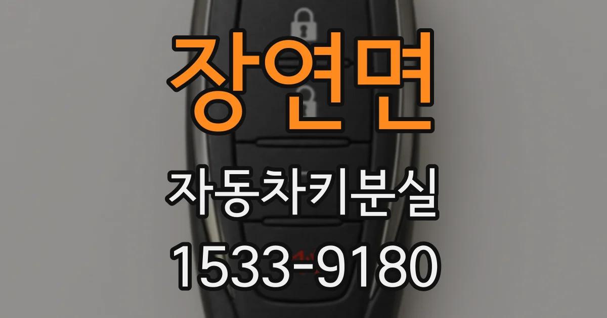 장연면 자동차키분실