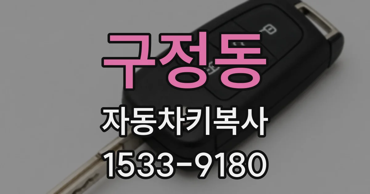 구정동 자동차키복사
