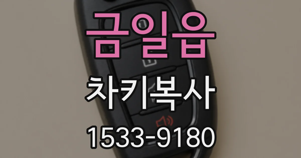 금일읍 차키복사