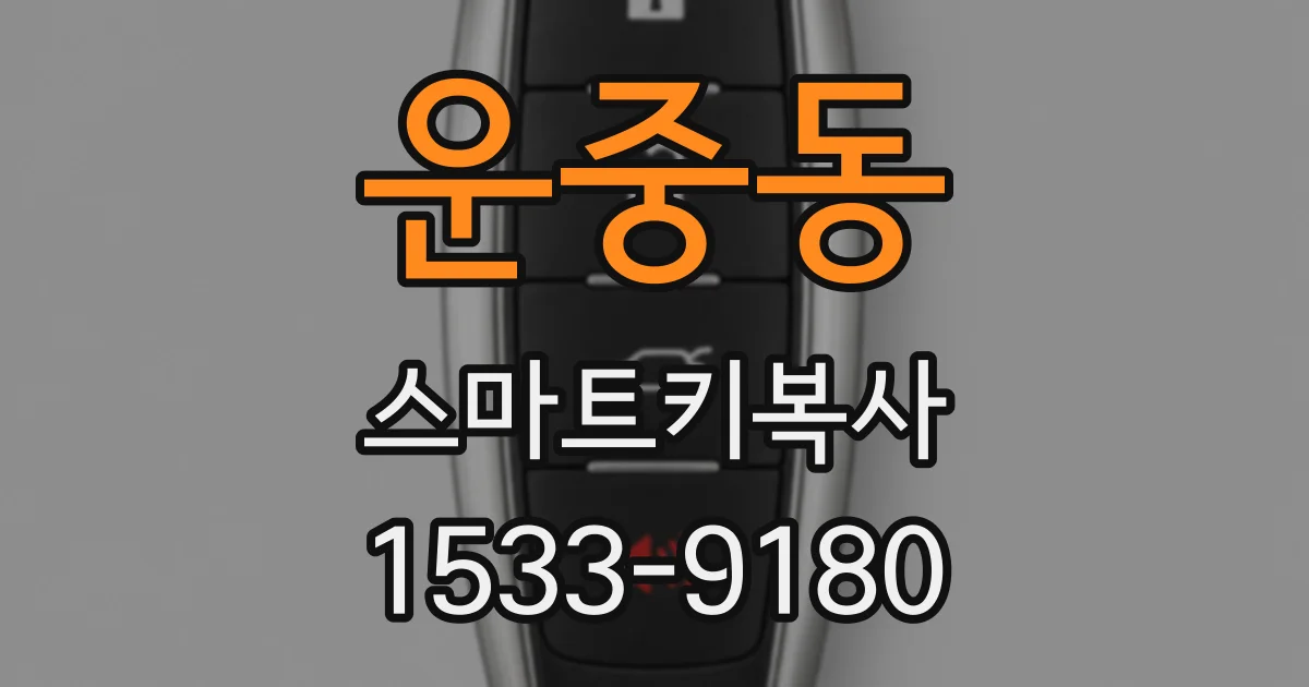 운중동 스마트키복사
