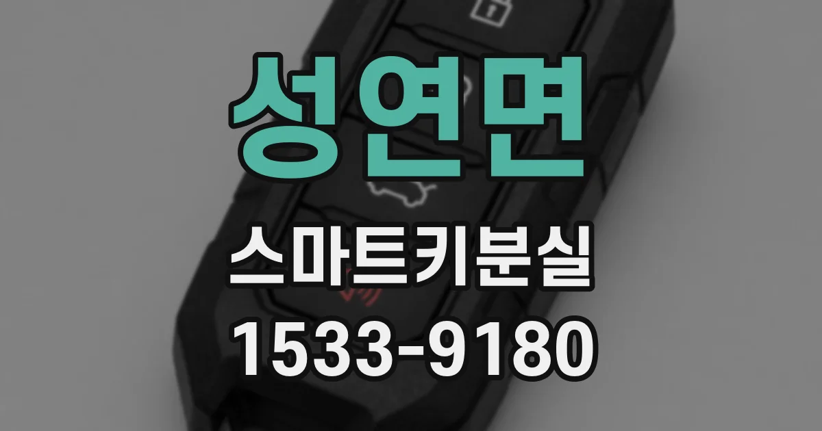 성연면 스마트키분실