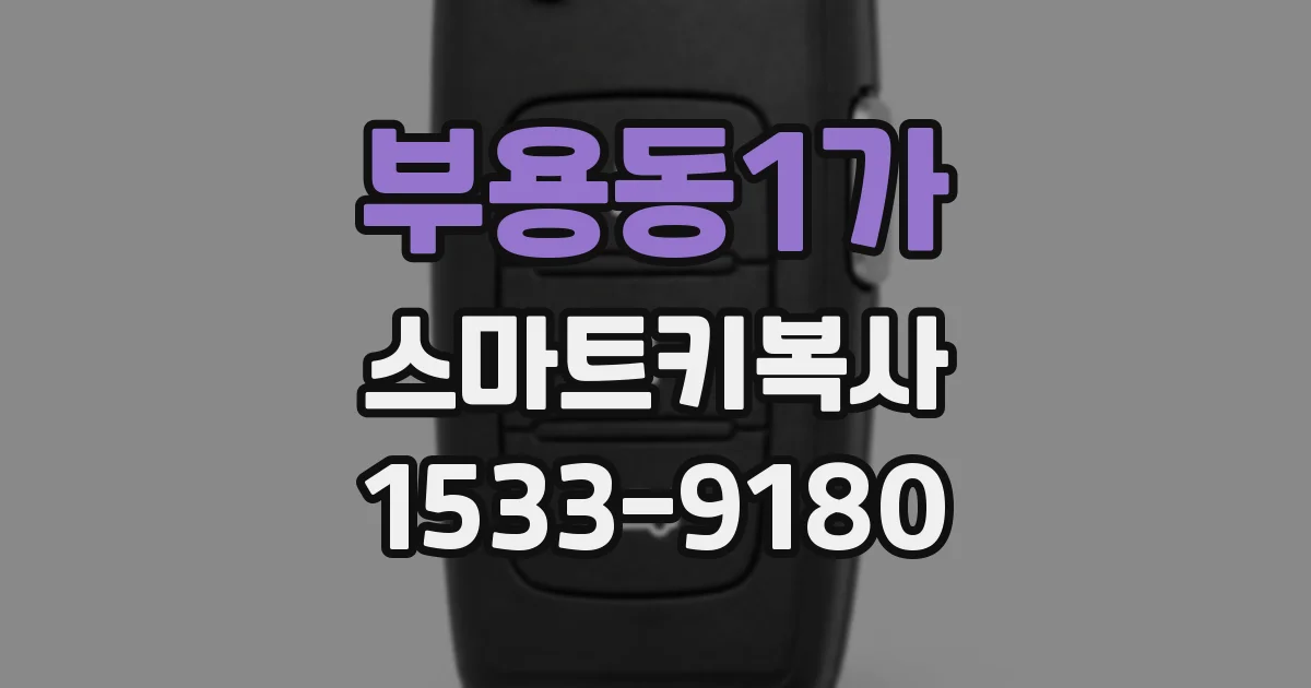 부용동1가 스마트키복사